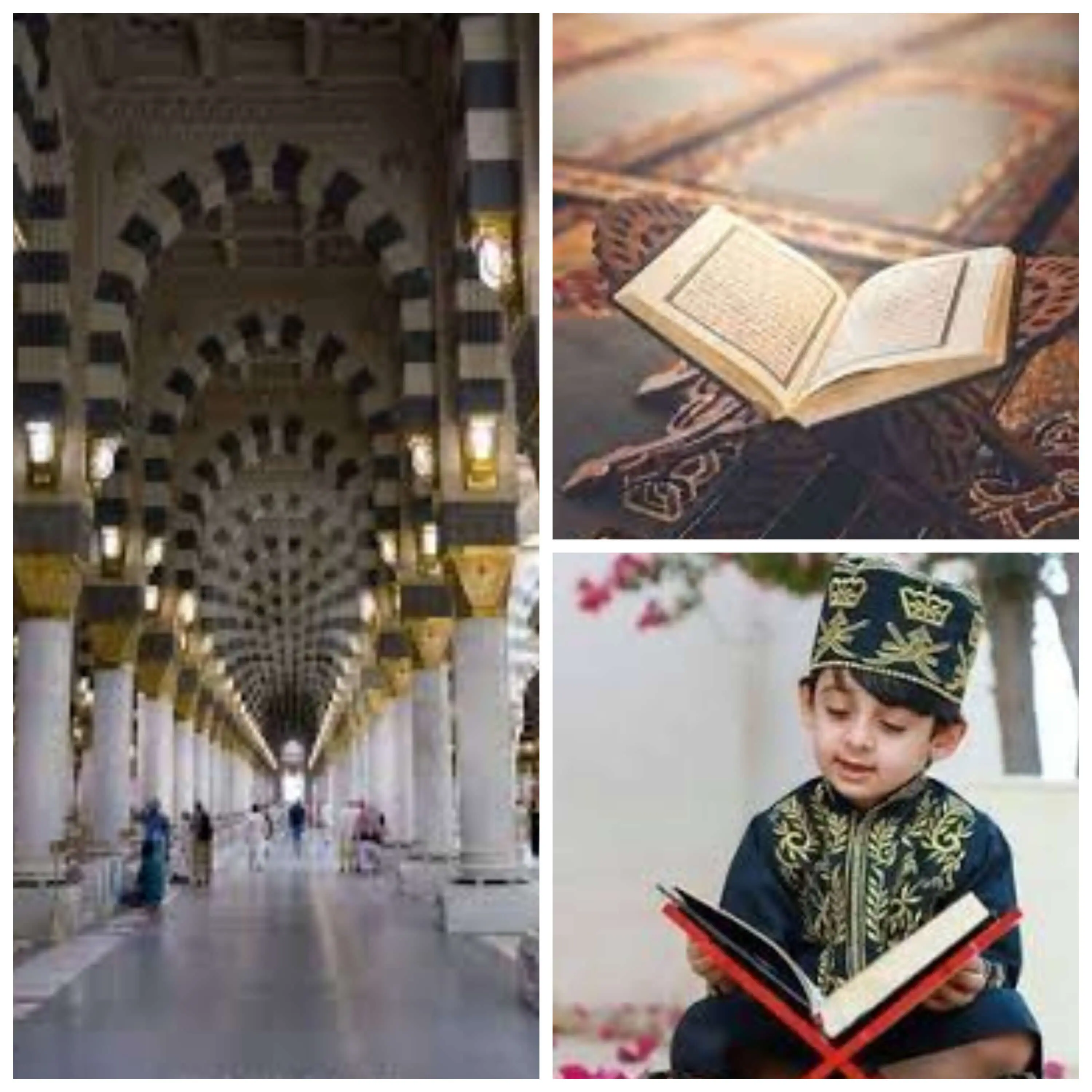 Learn Quran at Home Online with Expert Tutors