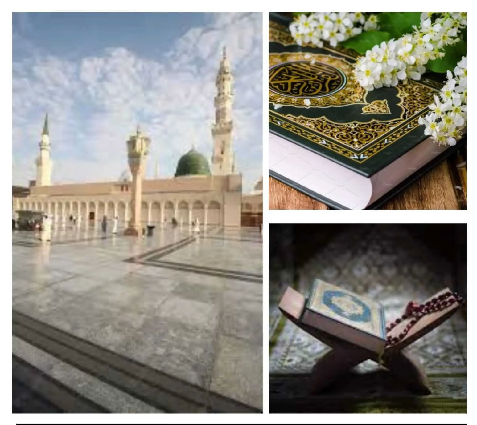 Muslim family learning Quran online as part of a global mission